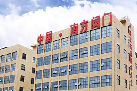 南方閥門集團(tuán)外貿(mào)獨(dú)立站建設(shè)與谷歌SEO/SEM推廣